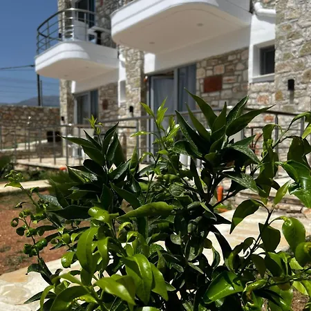 Hotel Noah's 3*